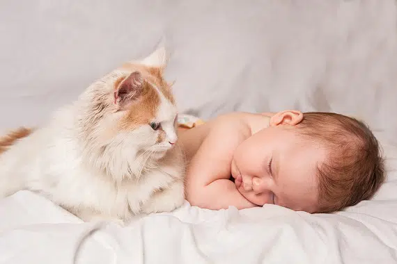 חתול ותינוק יחד