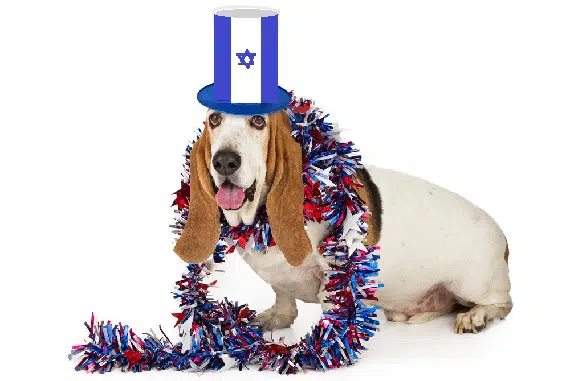 כלב ביום העצמאות