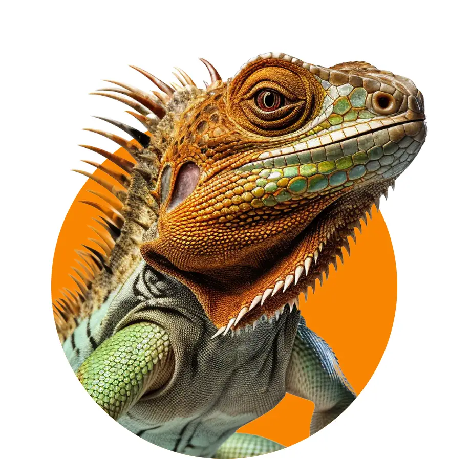 lizard-icon