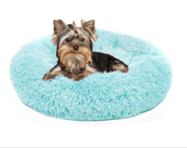 מיטת פינוק פלאפית צבע תכלת לכלבים